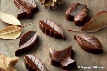 Silicone Chocolate Mould - Nature